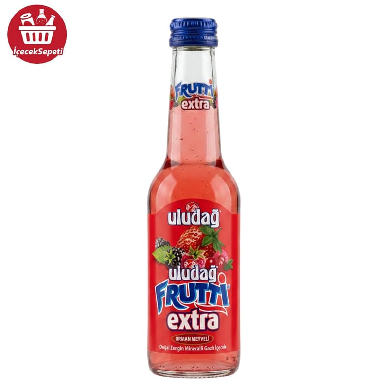 ULUDAĞ FURİTTİ EXTRA 250 ML * 24 ADET ORMAN MEYVELİ